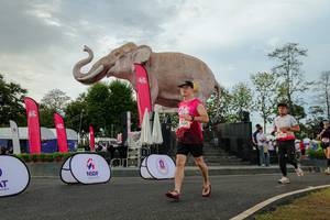 BIB: 
                            <button type="button" onclick="openModal(26528611)" class="btn btn-primary btn-sm float-right btn-popup" data-toggle="modal" data-target=".modal-high-quality">
                        <i class="fas fa-shopping-cart"></i> Add to Cart
                    </button>
                                            <button type="button" onclick="isThisMe(26528611, true)" class="btn btn-success btn-sm float-right btn-popup btn-isme hidden" data-toggle="tooltip" data-placement="bottom" title="นี่คือรูปของคุณใช่ไหม คลิกที่นี่เพื่อเอาเข้าอัลบั้ม">
                        <i class="fas fa-plus"></i> Add to album
                    </button>
                    <button type="button" onclick="isThisMe(26528611, false)" class="btn btn-warning btn-sm float-right btn-popup btn-isnotme hidden">
                        <i class="fas fa-ban"></i> Remove from album
                    </button>